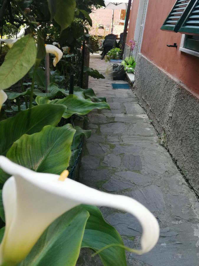 A Ca Du Barba Appartement Monterosso al Mare Buitenkant foto