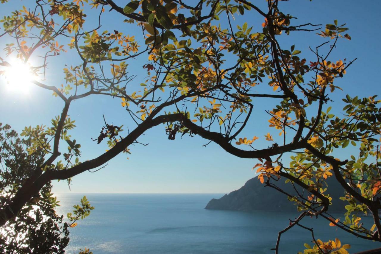 A Ca Du Barba Appartement Monterosso al Mare Buitenkant foto